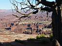 Canyonland 04